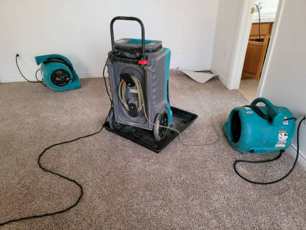Best Basement water damage restoration  in Long Beach, NY