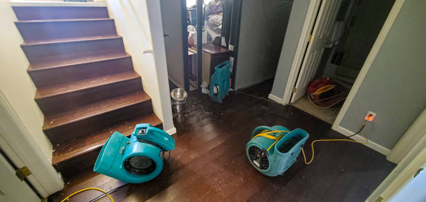 Best Flood damage cleanup  in Long Beach, NY