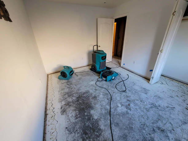 Best Water damage restoration near me  in Long Beach, NY