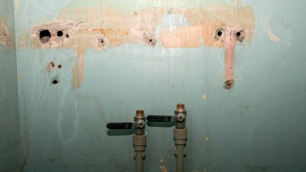 Best Mold removal after water damage  in Long Beach, NY