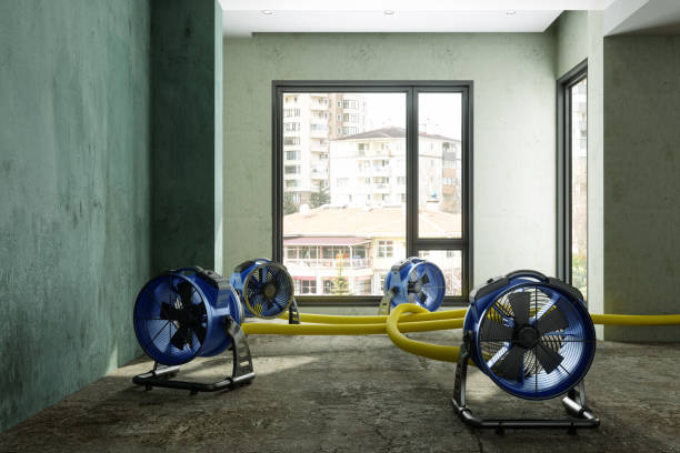Best 24-hour water damage restoration  in Long Beach, NY