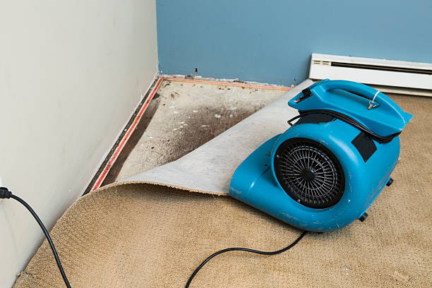 Best Water damage repair service  in Long Beach, NY